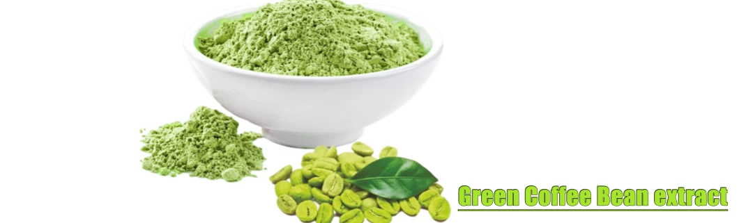 Organic Green Coffee Bean Extract Powder Weight Loss