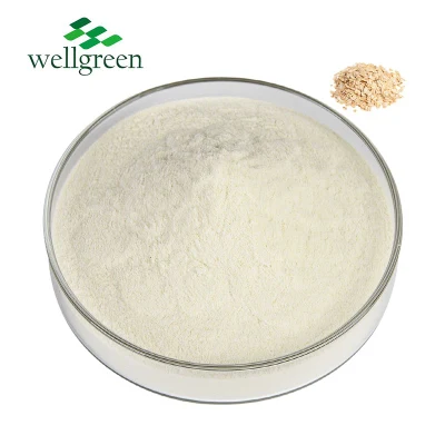 Wellgreen Fornire polvere di avena per idrolisi enzimolisi pura per uso alimentare per caffè, latte, gelato, cioccolato