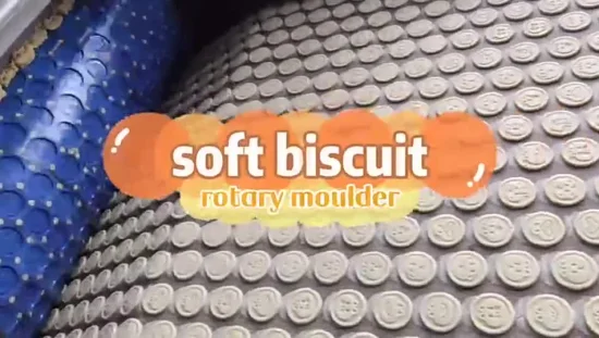 Linea di produzione di biscotti per animali da dito completamente automatica con capacità di base